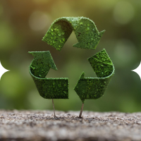 responsibly made toothpaste by Prodent with safe and conscious formulation