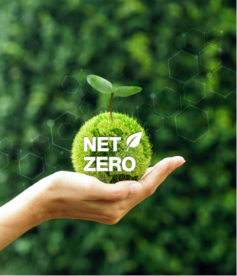 reducing environmental impact through responsible oral care manufacturing by Prodent