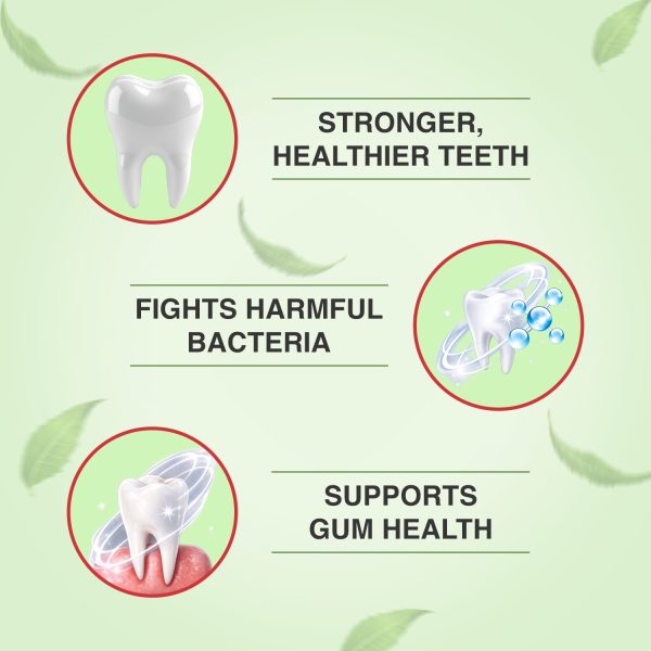Prodent neem clove toothpaste for gum care and cavity protection
